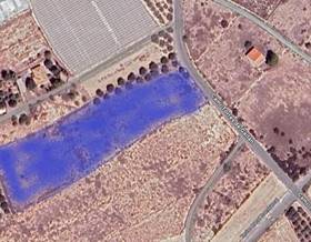 lands for rent in elche elx