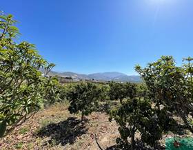 lands for sale in otivar