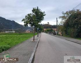 lands for sale in salas