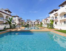 houses for sale in daya vieja