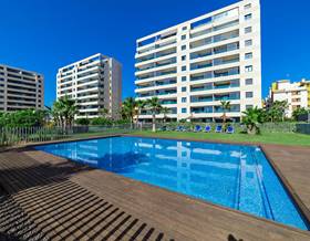 apartments for sale in san miguel de salinas