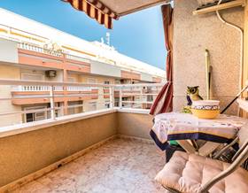 houses for sale in torrevieja