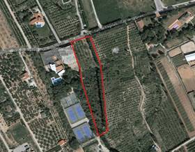 lands for sale in sant carles de la rapita