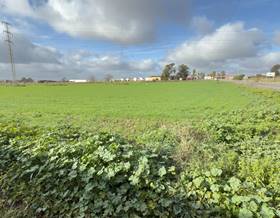 land sale gibraleon andalucia by 1,000,000 eur