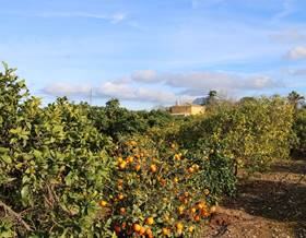 houses for sale in denia