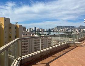 apartments for sale in jalon xalo