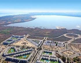houses for sale in daya vieja