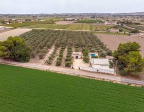 villas for sale in almoradi