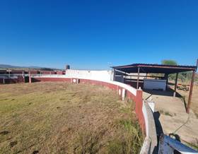 lands for sale in riolobos