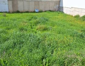 lands for sale in el raposo