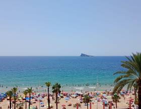 flat sale benidorm 1ª linea by 600,000 eur