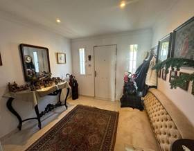 houses for rent in san pedro de alcantara