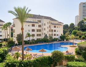 apartments for rent in malaga province