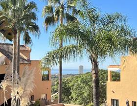 apartments for rent in rio real
