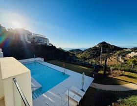 apartments for rent in nueva andalucia