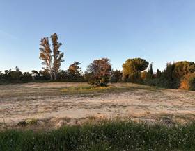 lands for sale in la palma del condado