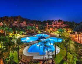 apartments for sale in san pedro de alcantara