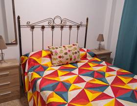 apartments for rent in san agustin, almeria