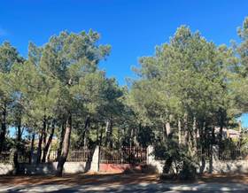 lands for sale in alba de tormes