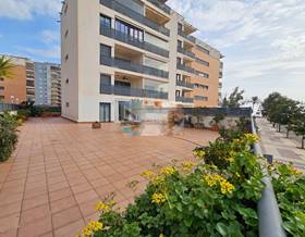 flat sale castellón resto provincia by 350,000 eur