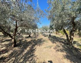 lands for sale in aielo de malferit