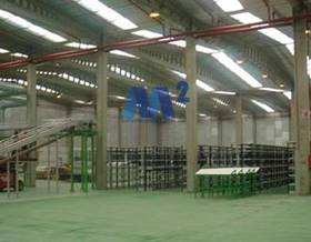 industrial warehouses for rent in san fernando de henares