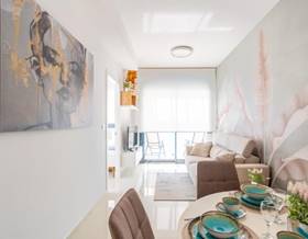 houses for sale in san miguel de salinas
