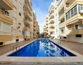 houses for sale in san miguel de salinas