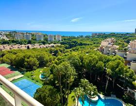 houses for sale in los montesinos