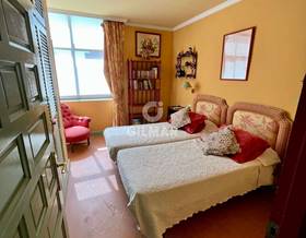 houses for rent in nueva andalucia
