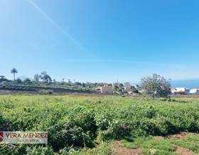lands for sale in tenerife sta. cruz de tenerife