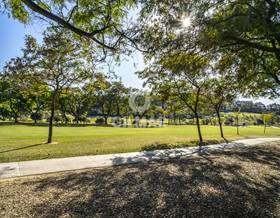 apartments for sale in guadalmina