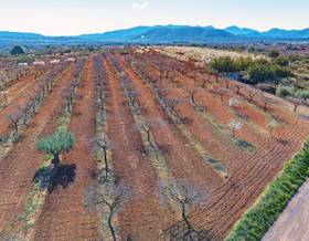 lands for sale in vilafames