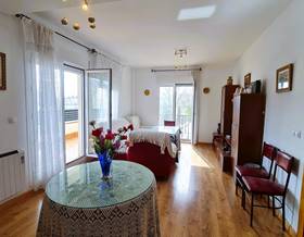 apartments for sale in colomera