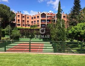 houses for rent in pozuelo de alarcon