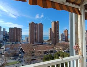 flat sale benidorm avenida del mediterraneo by 485,000 eur