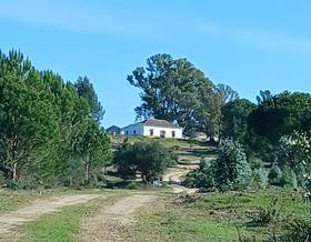 houses for sale in moguer