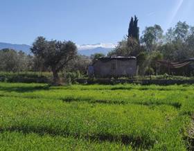 lands for sale in monachil