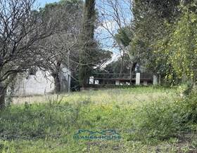 houses for sale in sant feliu de buixalleu