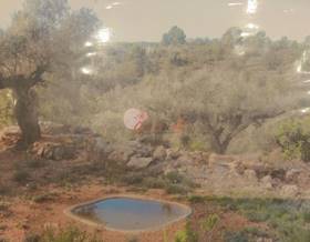 lands for sale in torreblanca