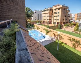 studios for rent in ciudad lineal madrid