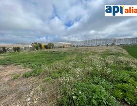 lands for sale in linyola