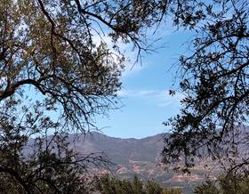 rustic property sale lecrin murchas by 69,990 eur