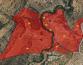 lands for sale in algarinejo