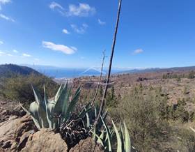 land sale guia de isora tejina de isora by 250,000 eur