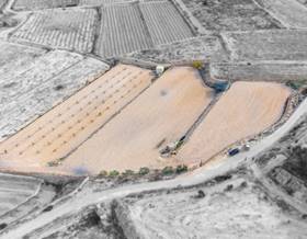 lands for sale in monforte del cid