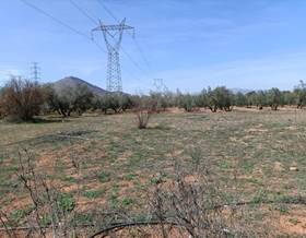 lands for sale in fuente vaqueros