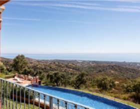 houses for rent in nueva andalucia