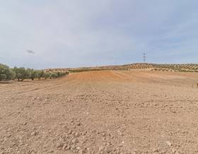 lands for sale in churriana de la vega