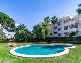 houses for rent in san pedro de alcantara